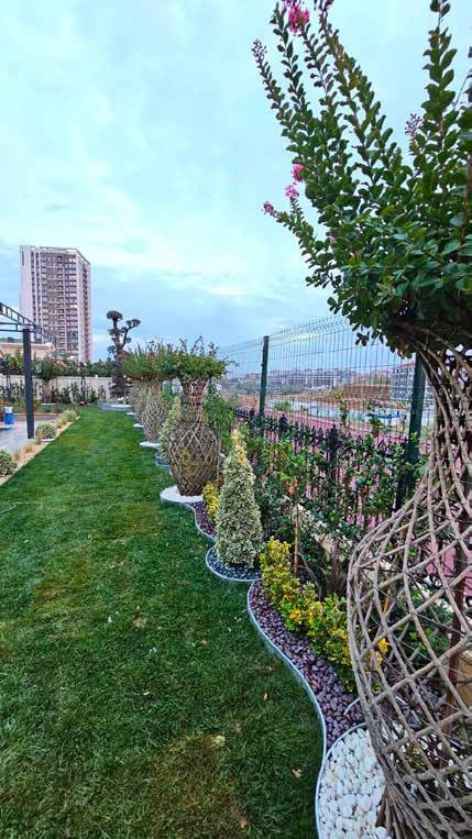 Premium compound design