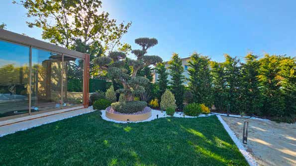 Villa garden landscape